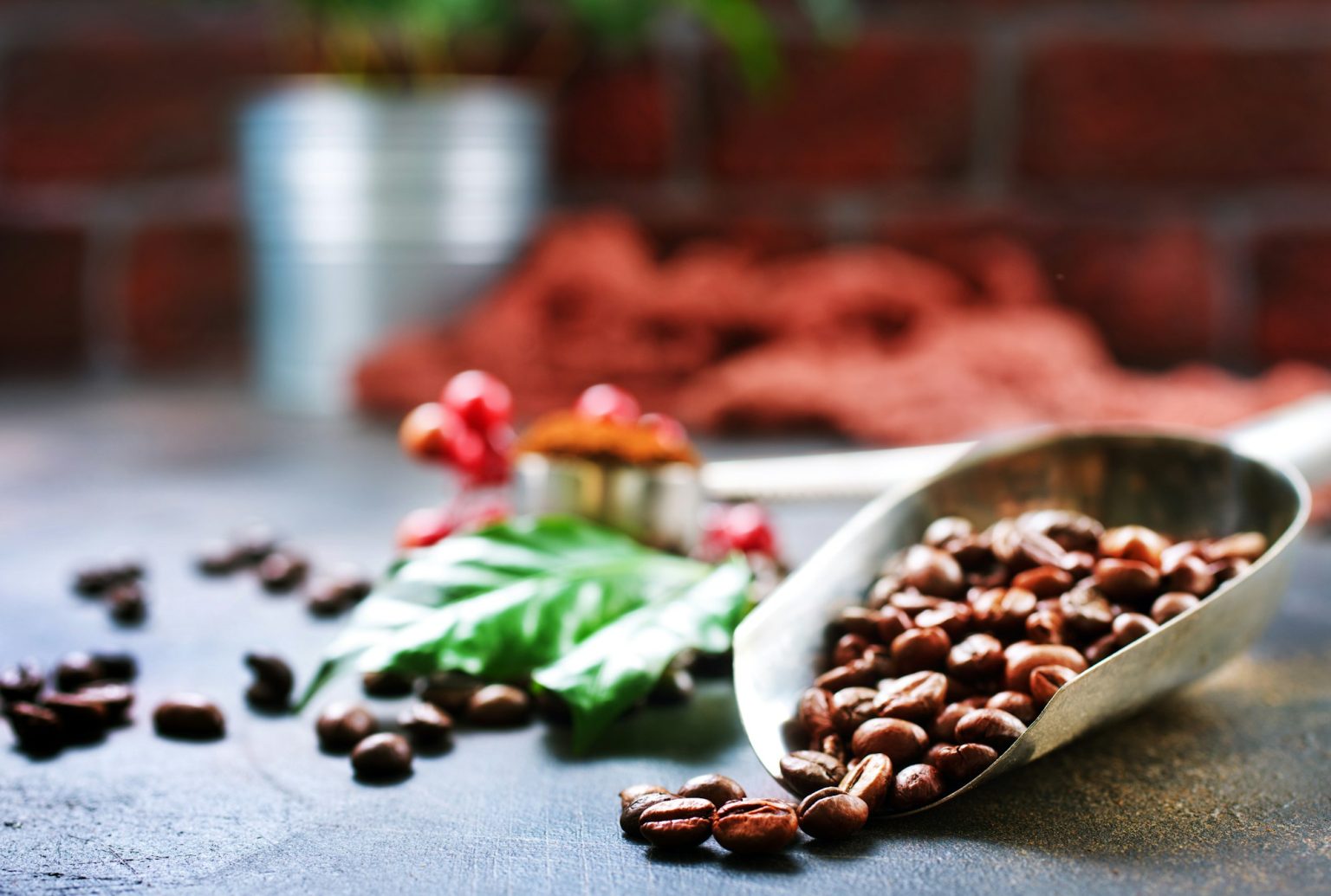 Coffee Beans 101 Types Roasts Brewing Tips Daily Grind