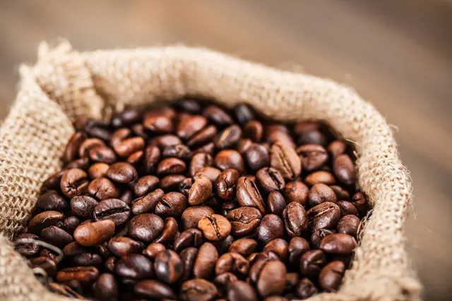 Dark roasted coffee beans in an open burlap sack