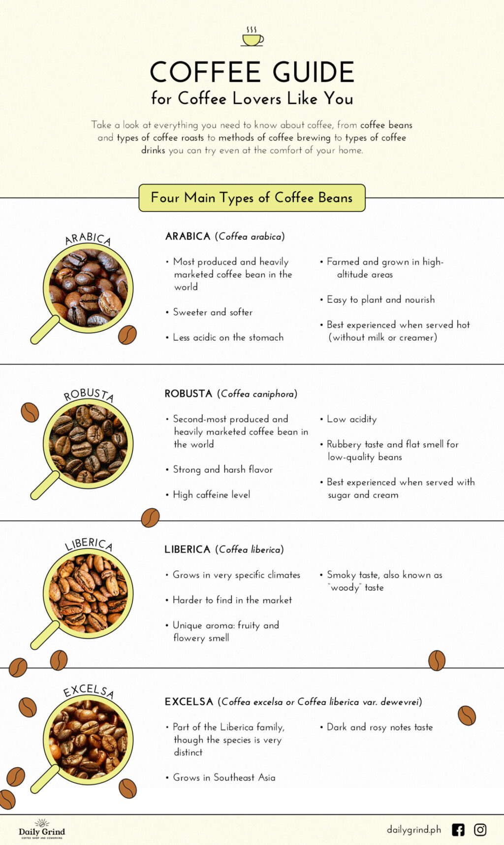 four main types of coffee beans scaled e1615281002348