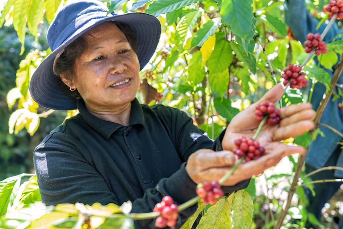 Vietnamese Coffee Farmer